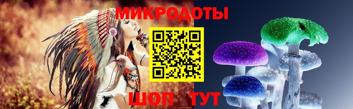 наркошоп  Галлюциногенные грибы GOLDEN TEACHER  Вход с VPN  Добрянка  Галлюциногенные грибы Psilocybine cubensis 